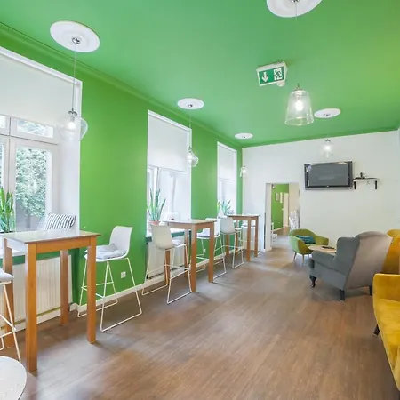 Dizzy Daisy Cracovia