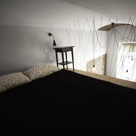 Dizzy Daisy Hostel *