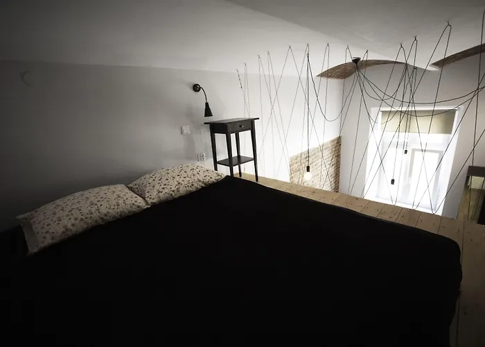 Dizzy Daisy Hostel *